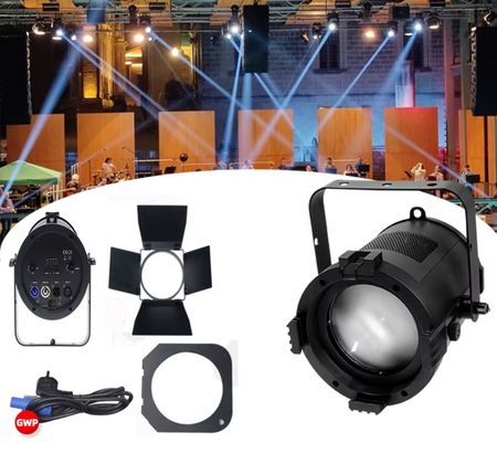 200W LED Fresnel Spotlight 
