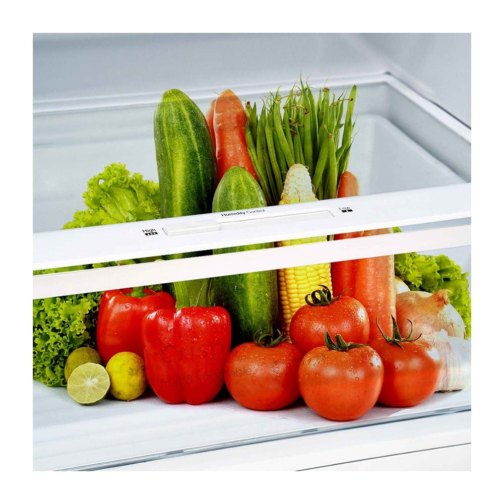CTM408NSS 410L Stainless Steel Top Mount Fridge