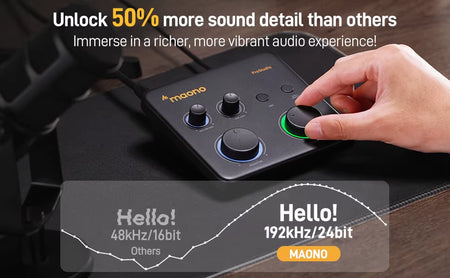 USB Audio Interface for PC,XLR Input 24-Bit/192Khz Routing Software LOOPBACK ASIO for Recording Music,Guitar,Daw PS22 Lite