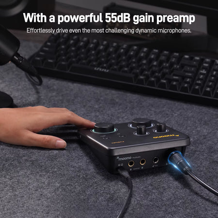 USB Audio Interface for PC,XLR Input 24-Bit/192Khz Routing Software LOOPBACK ASIO for Recording Music,Guitar,Daw PS22 Lite
